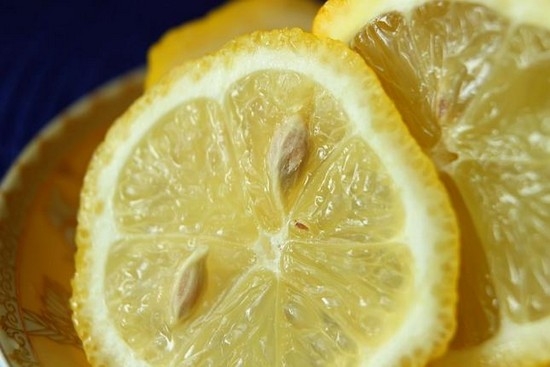 лимонное дерево, выращенное в домашних условиях