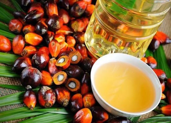 пальмовое масло, из чего производят такой продукт, как он выглядит 