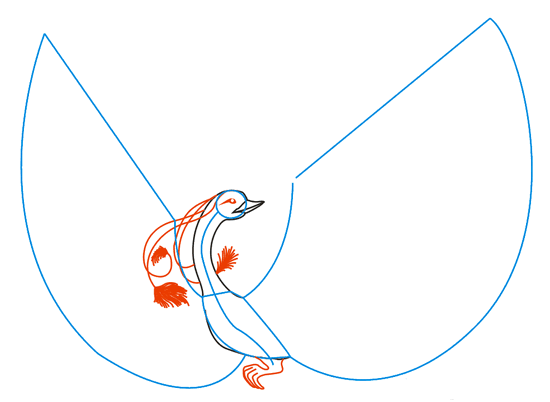 Плавным изгибом рисуем шею птицы