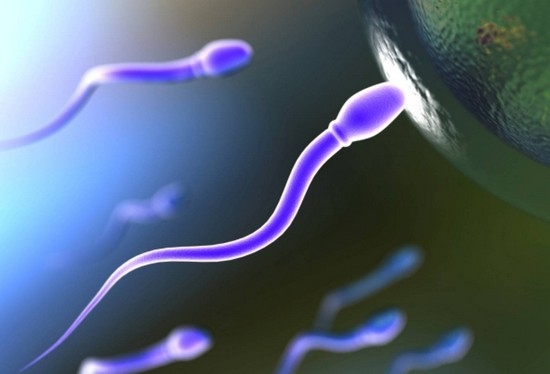 сколько спермы нужно, чтобы девушка забеременела