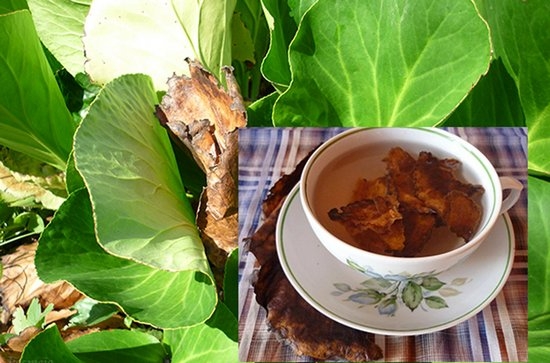 Чай из высушенных листьев бадана