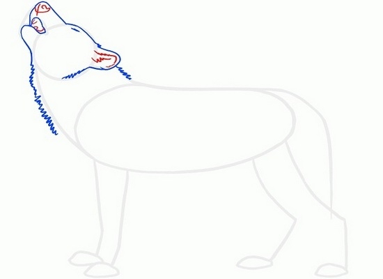 Как нарисовать волка воющего на луну: шаг 3