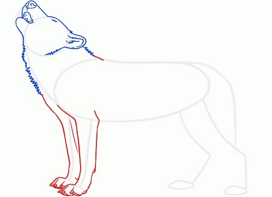 Как нарисовать волка воющего на луну: шаг 4