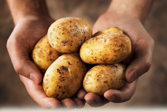 Чем можно заменить кукурузный и картофельный крахмал