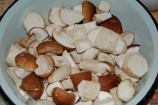 Белые грибы крупные
