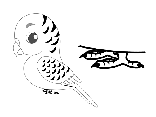 как нарисовать попугая карандашом поэтапно для детей