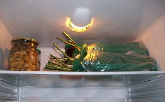 Хранение роз в холодильнике