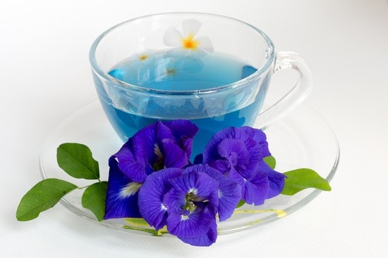 Чай Чанг Шу – пурпурный или синий